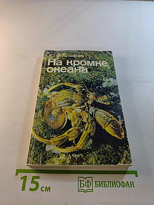 На кромке океана