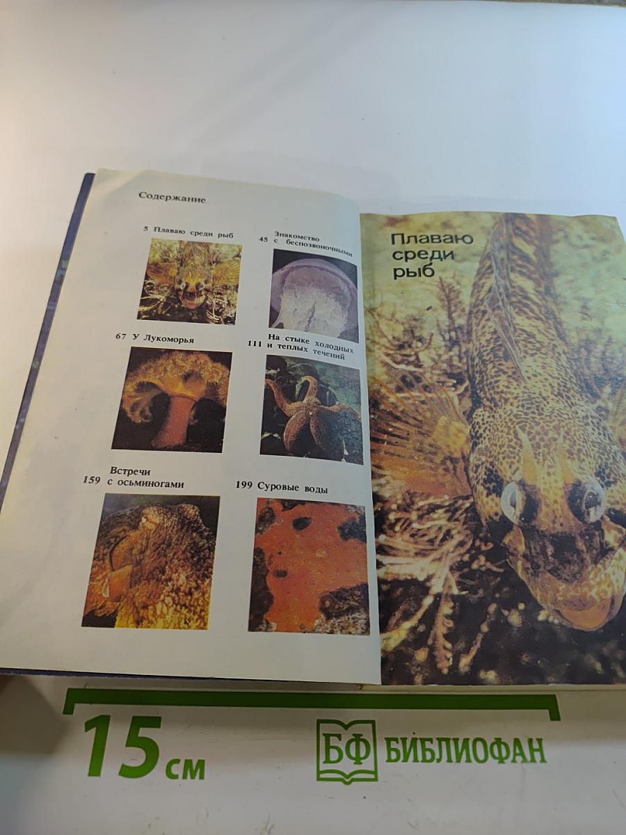 На кромке океана