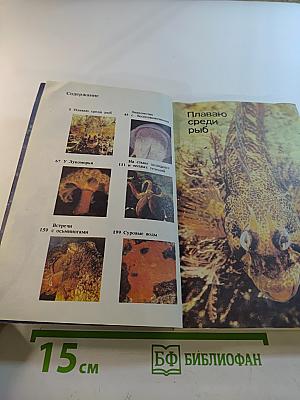 На кромке океана