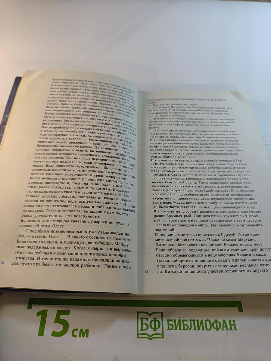 На кромке океана