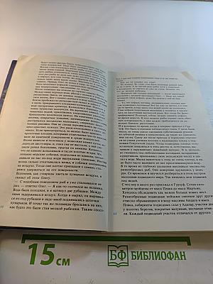 На кромке океана