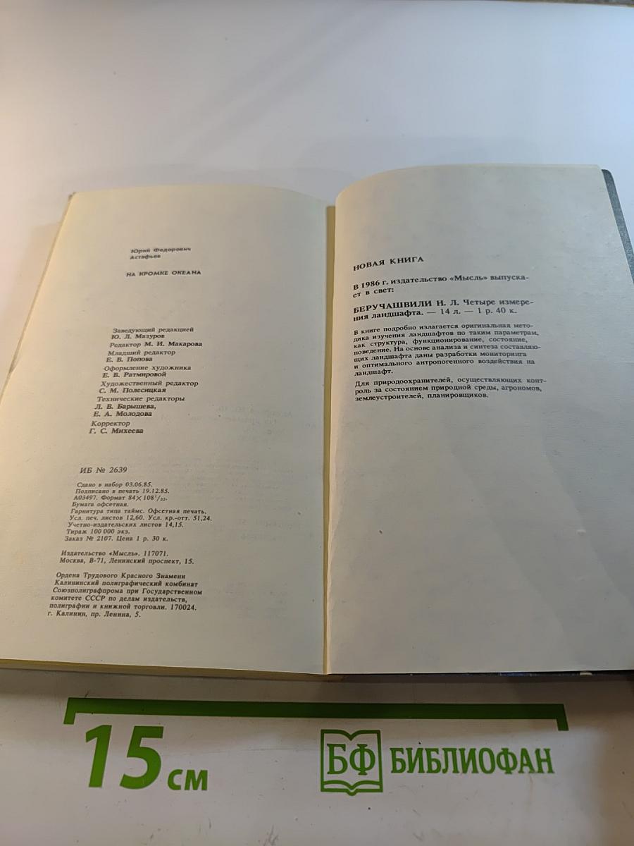 На кромке океана