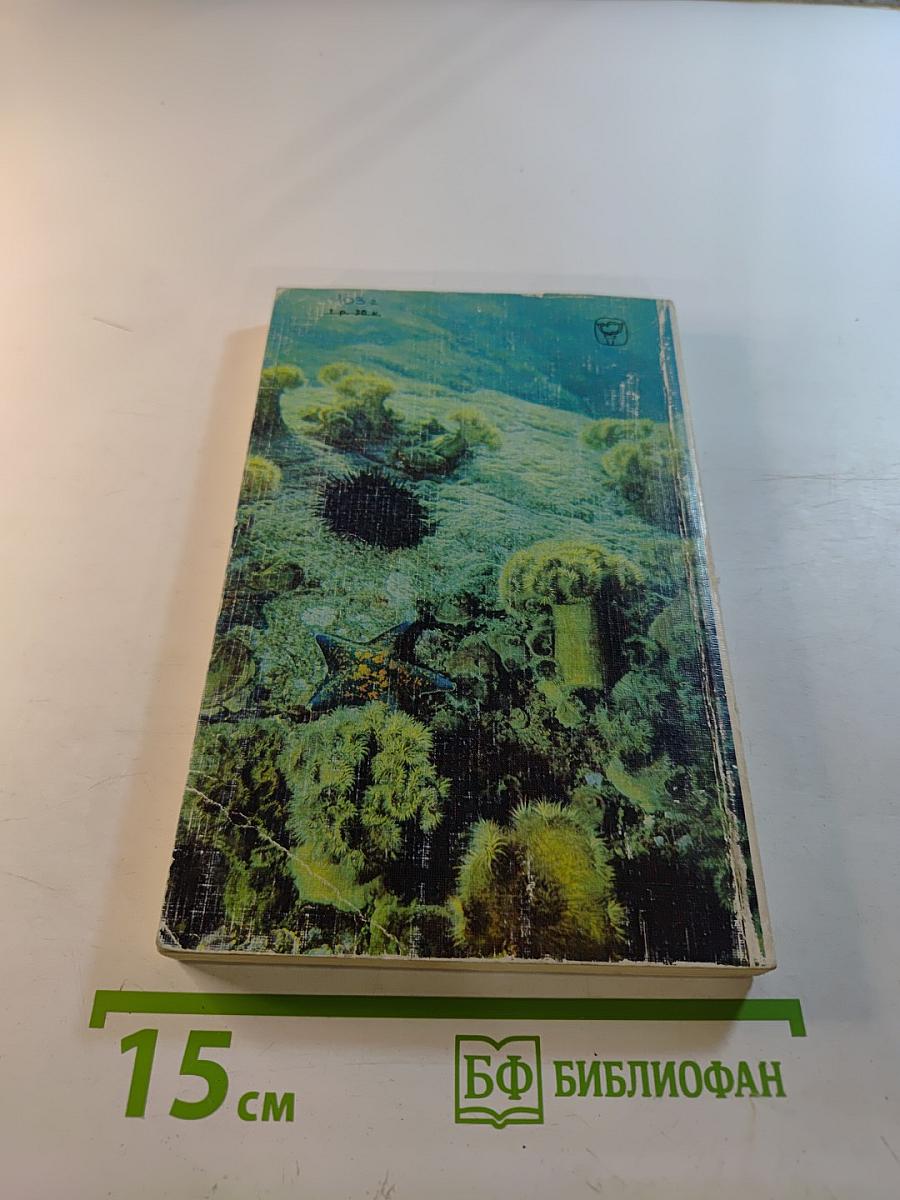 На кромке океана