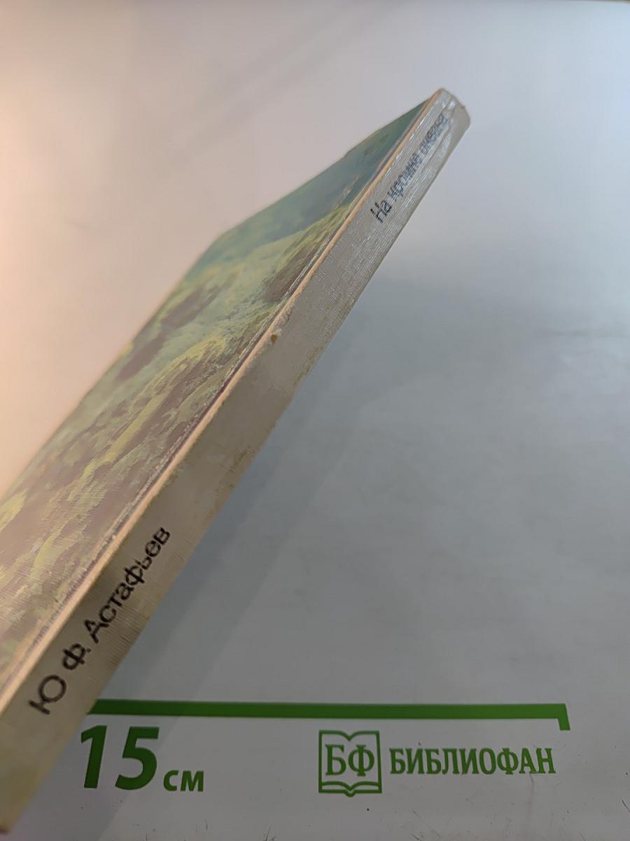 На кромке океана