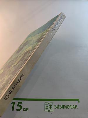 На кромке океана