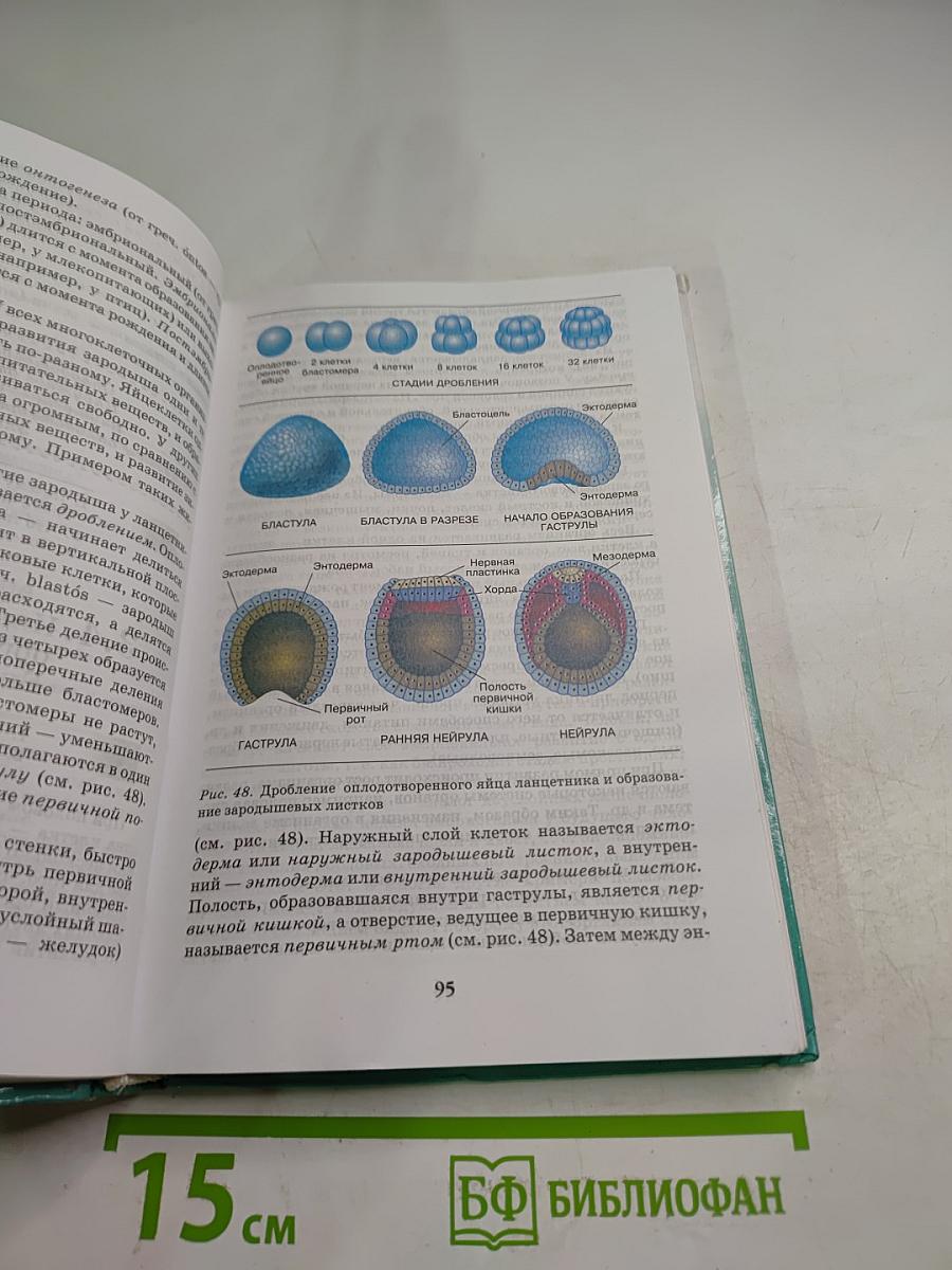 Биология. Введение в общую биологию и экологию для 9 класса