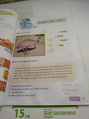 Английский язык. 3 класс. Учебник. Часть 2. Spotlight