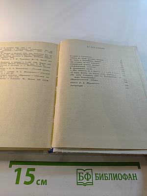 Жуковский в Петербурге