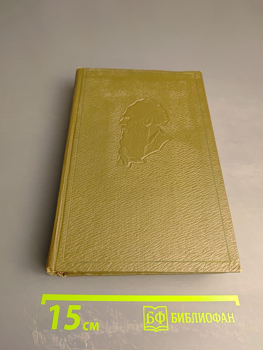 Собрание сочинений. Том девятый. Анна Каренина