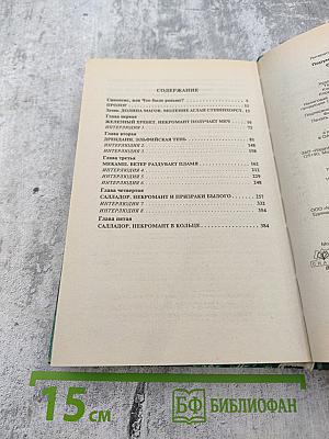 Одиночество Мага. Том 1: Цикл "Хранитель Мечей". Книга 3