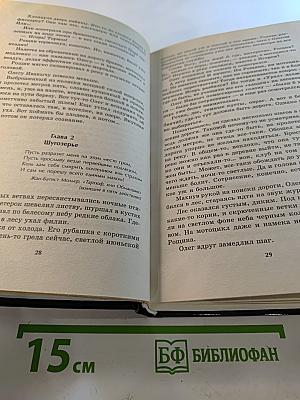 Шпага Софийского дома. Новгородская сага. Книга 1