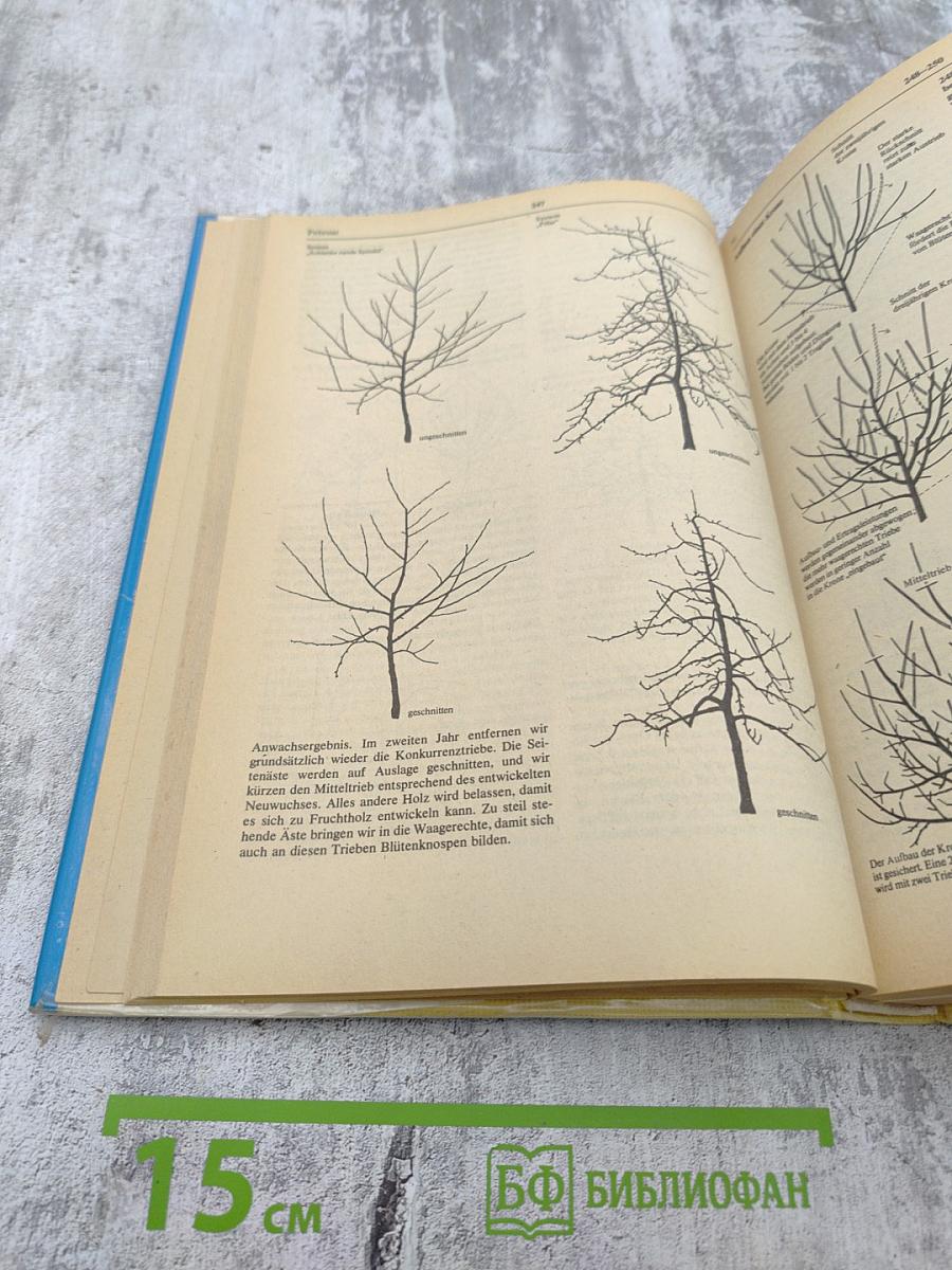 Rat für jeden Gartentag