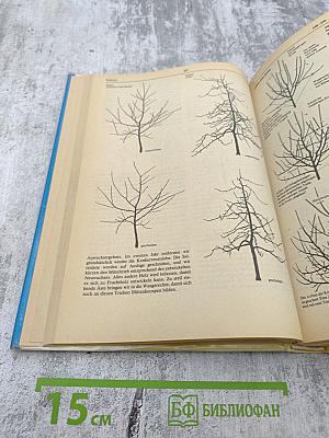 Rat für jeden Gartentag