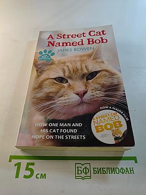 A Street Cat Named Bob