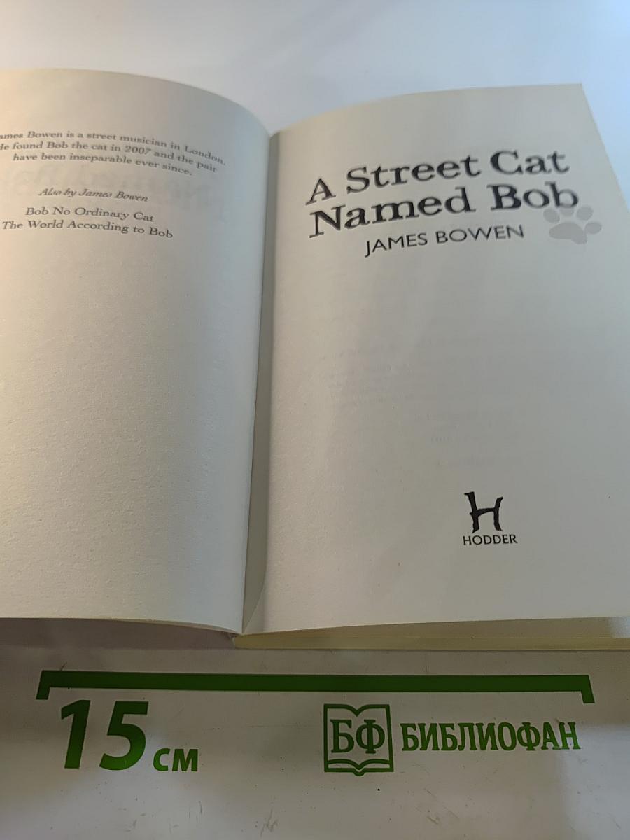 A Street Cat Named Bob
