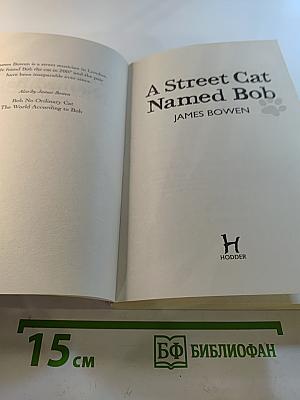 A Street Cat Named Bob