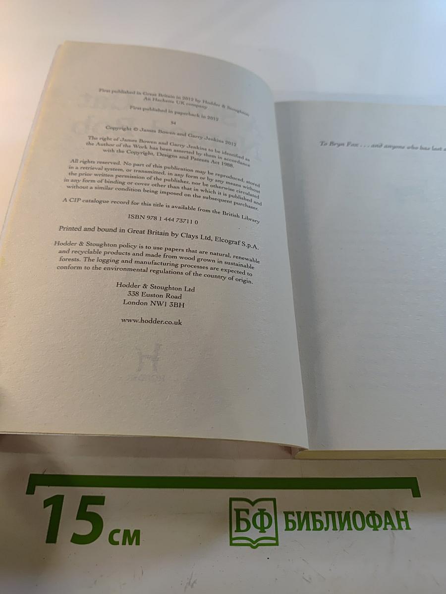 A Street Cat Named Bob