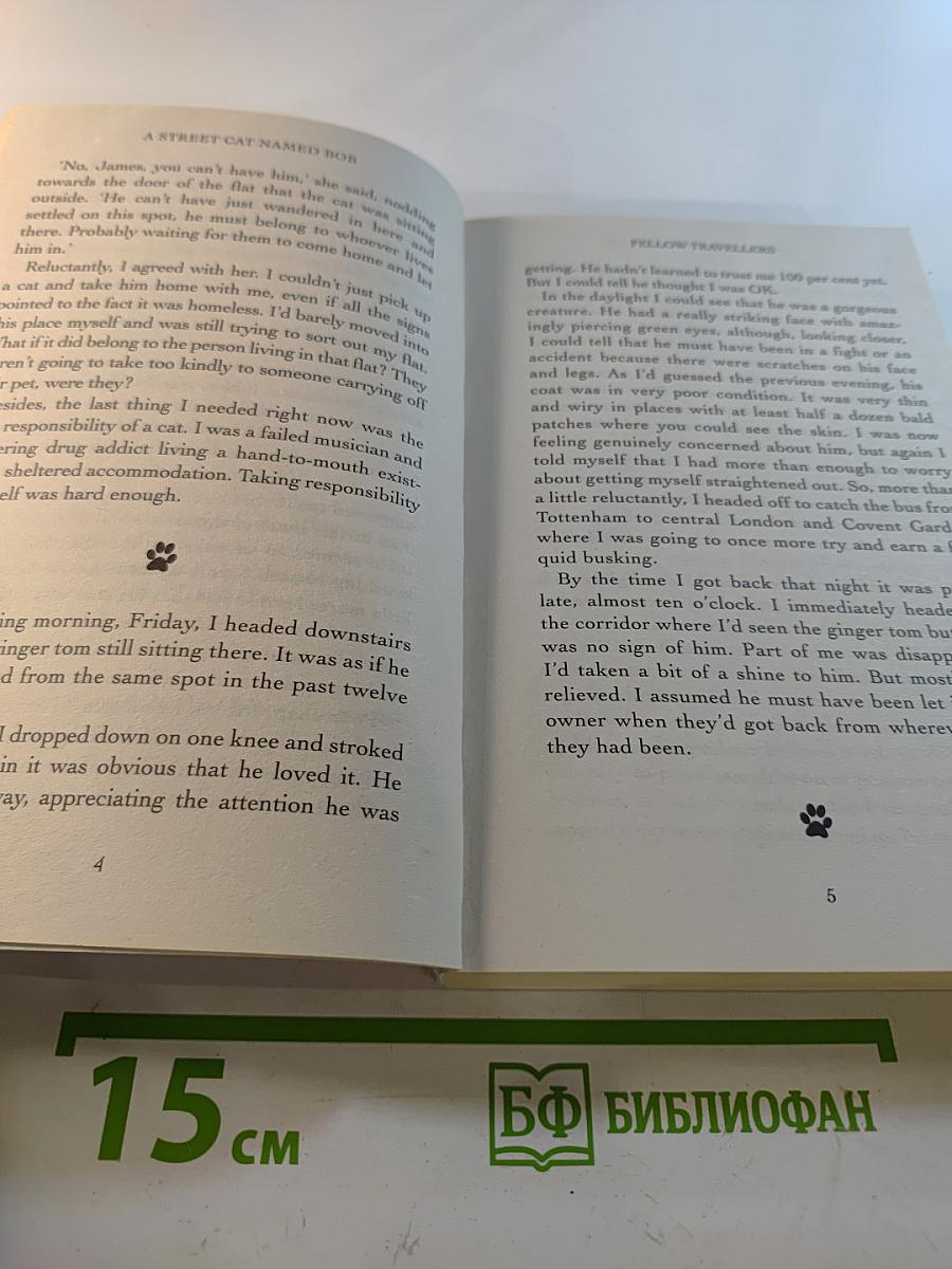 A Street Cat Named Bob