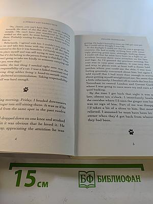 A Street Cat Named Bob