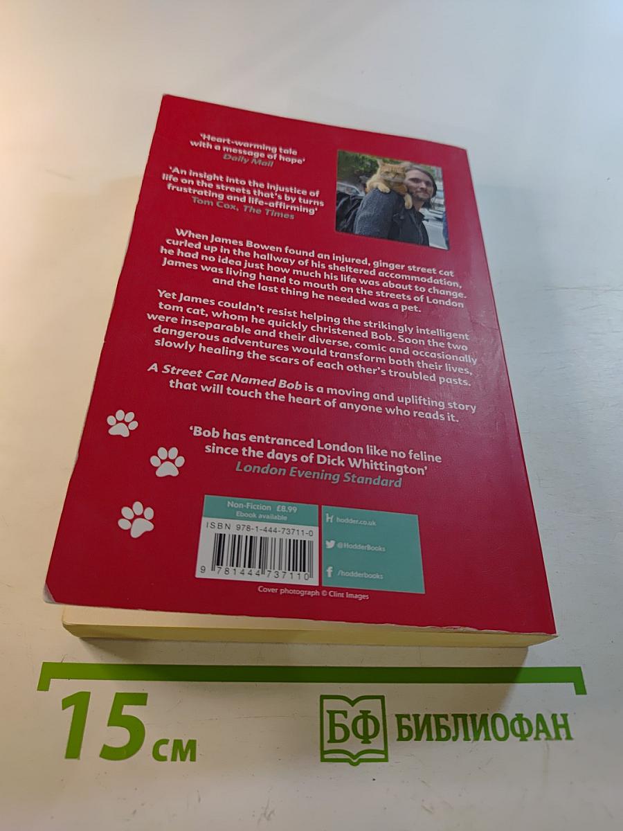 A Street Cat Named Bob