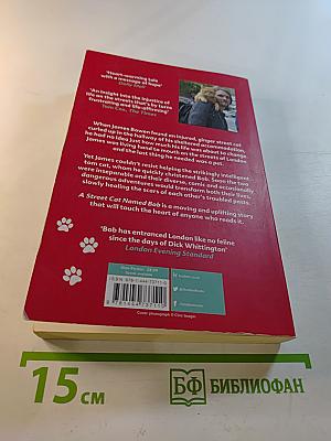 A Street Cat Named Bob