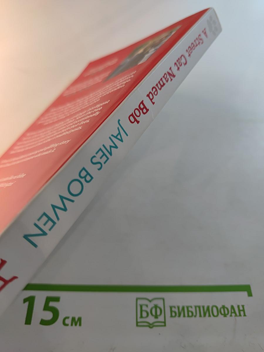 A Street Cat Named Bob