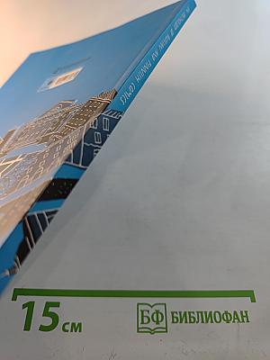 Neighbours: An Anthology of Russian and Finnish Comics