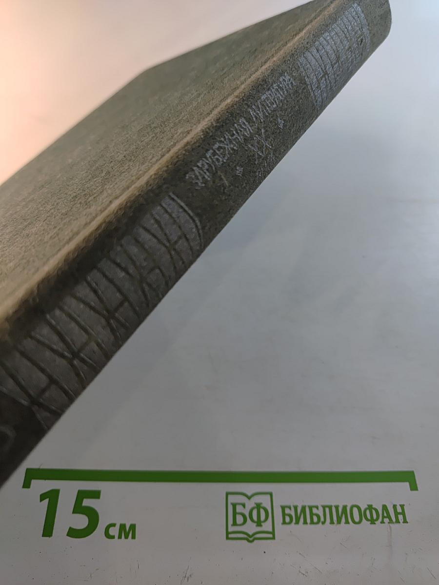 Зарубежная литература XX века 1945-1980. Хрестоматия
