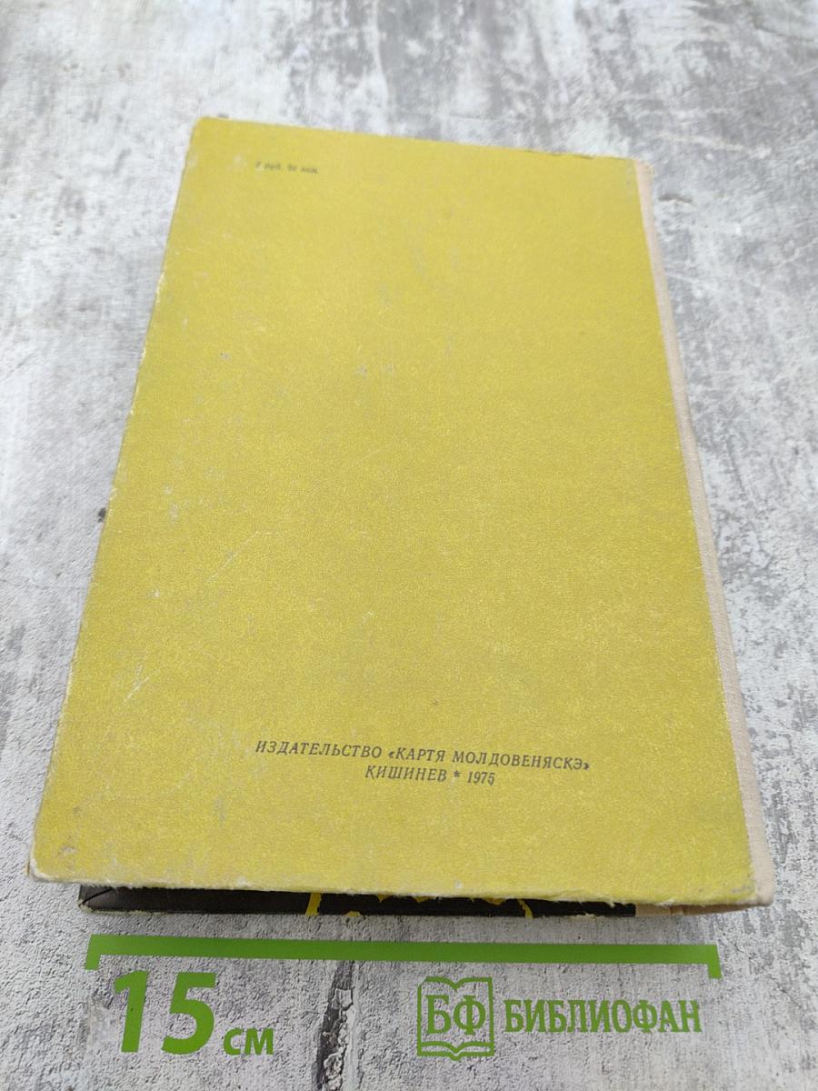 Три Дюма. Литературные портреты