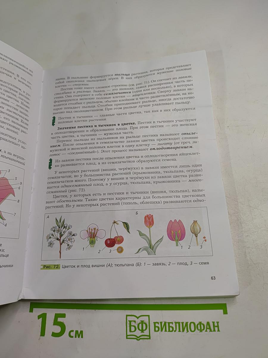 Биология 6 класс