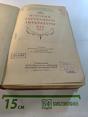 История зарубежной литературы XIX века