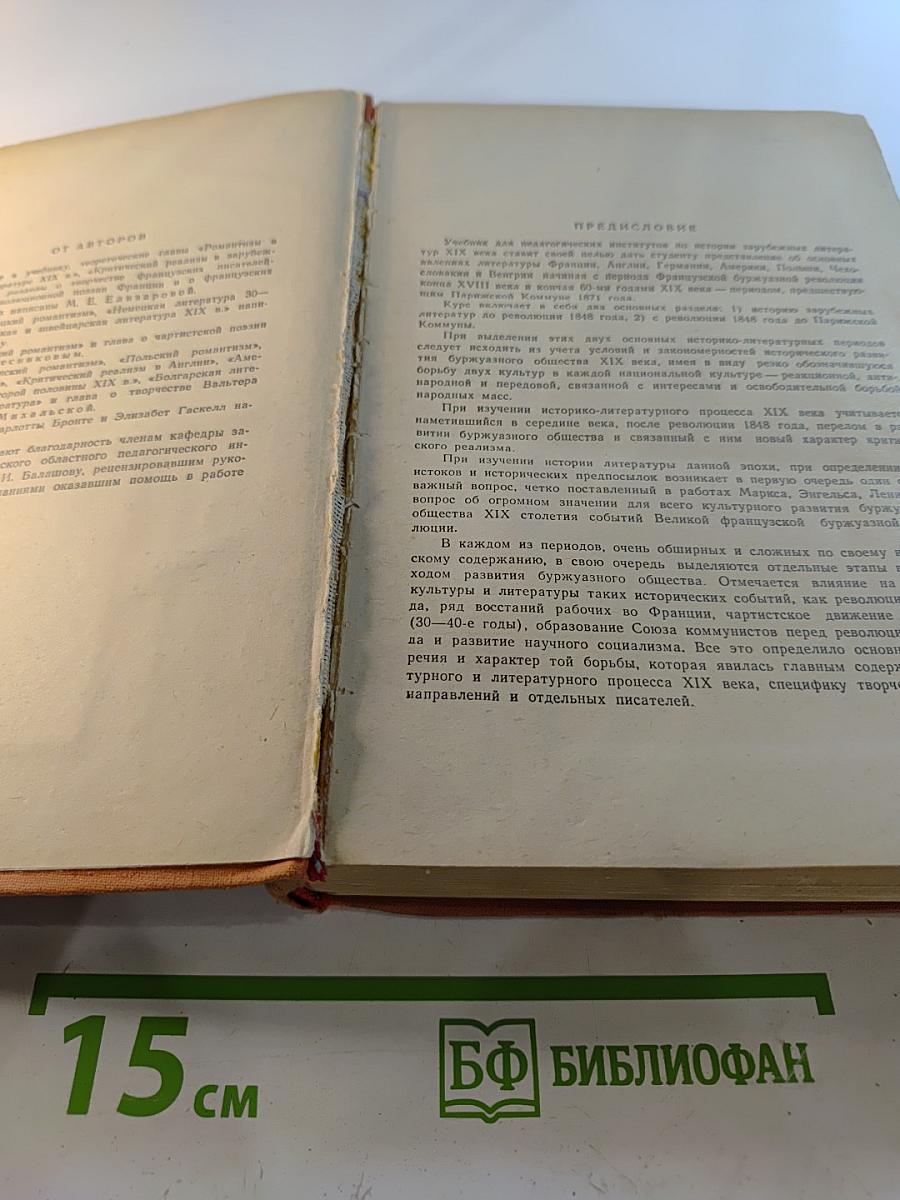 История зарубежной литературы XIX века