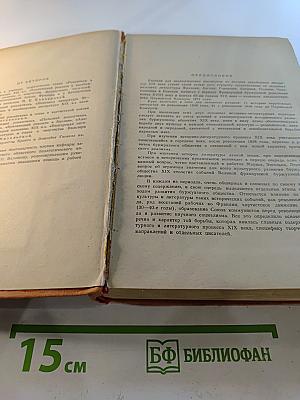 История зарубежной литературы XIX века