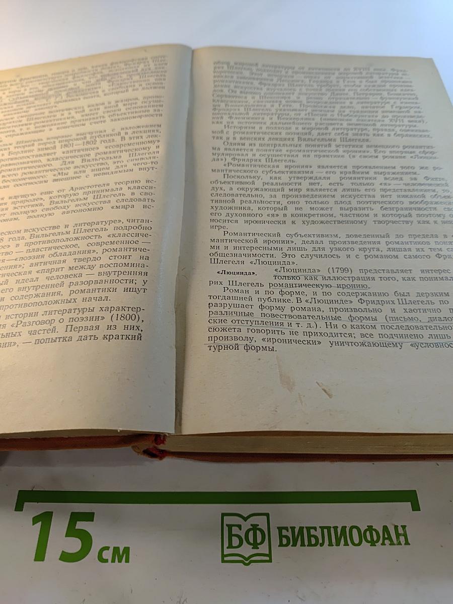 История зарубежной литературы XIX века