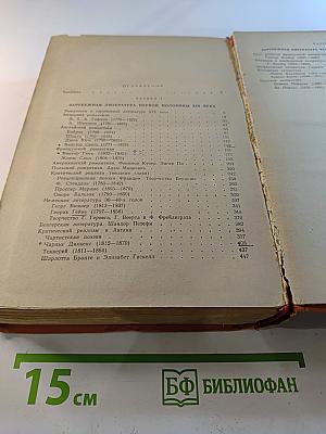 История зарубежной литературы XIX века