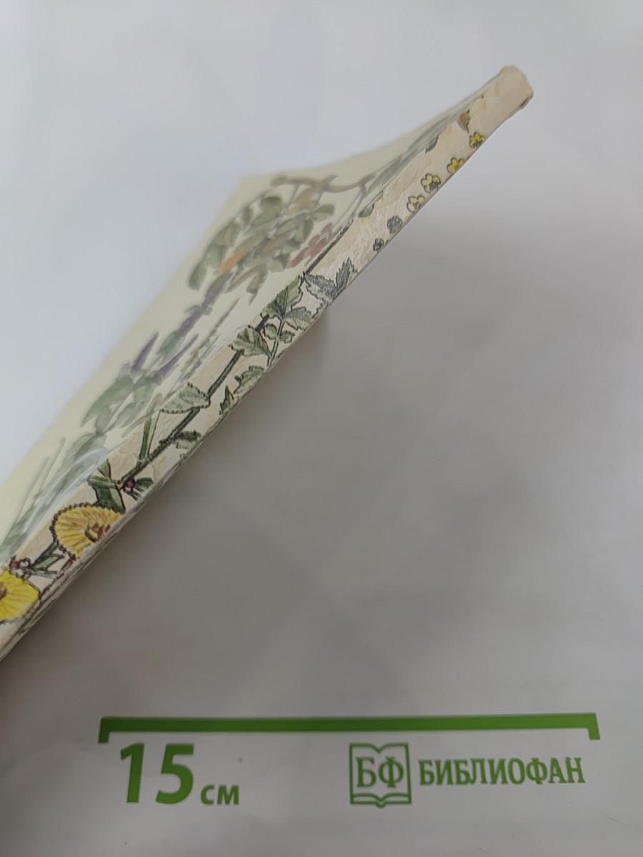 Оздоровительные чаи