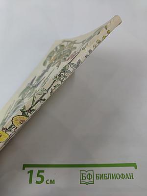 Оздоровительные чаи