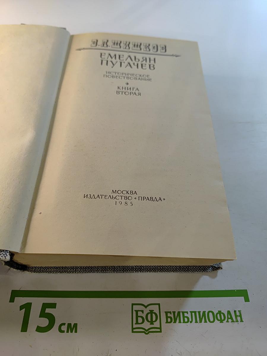 Емельян Пугачев. Историческое повествование. Книга вторая