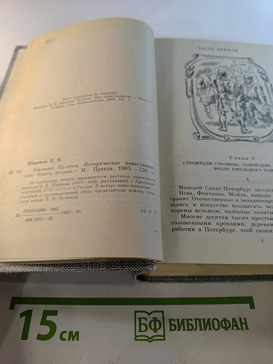 Емельян Пугачев. Историческое повествование. Книга вторая
