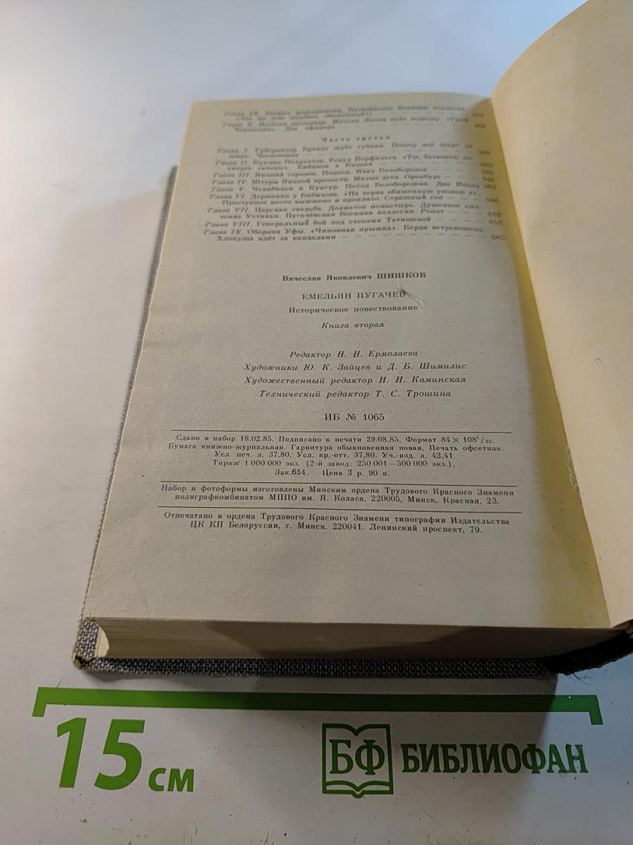 Емельян Пугачев. Историческое повествование. Книга вторая