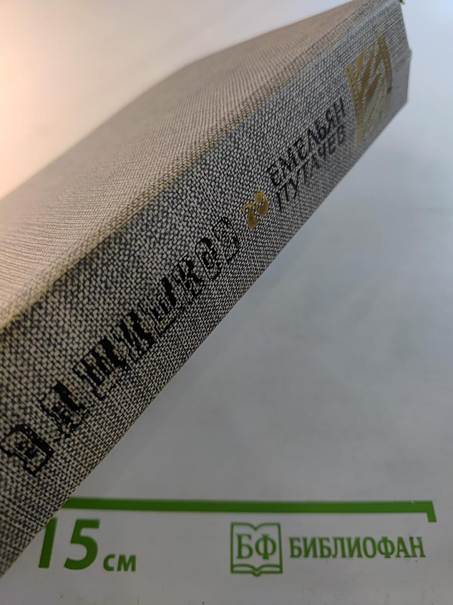 Емельян Пугачев. Историческое повествование. Книга вторая