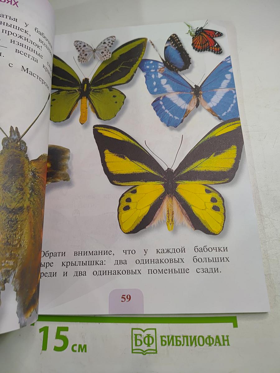 Изобразительное искусство 1 класс