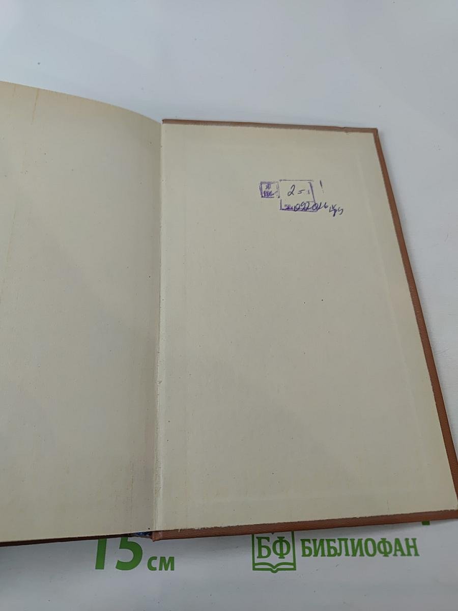 За языком до Киева