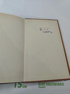 За языком до Киева