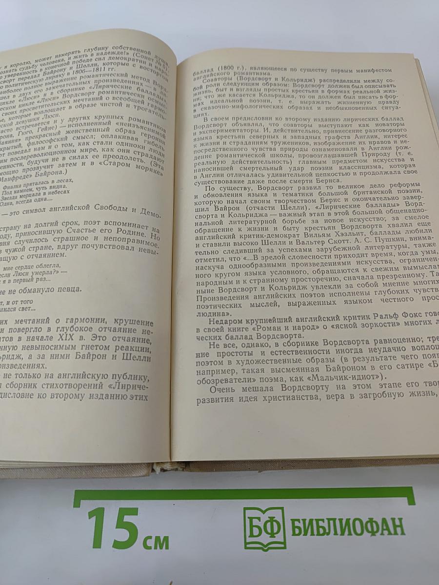 История зарубежной литературы XIX в.