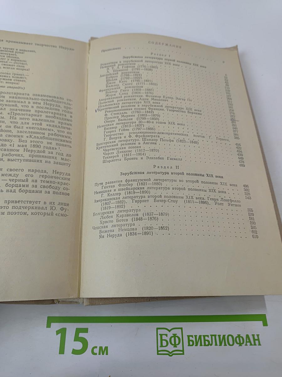 История зарубежной литературы XIX в.