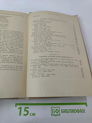 История зарубежной литературы XIX в.