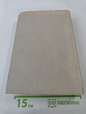 История зарубежной литературы XIX в.