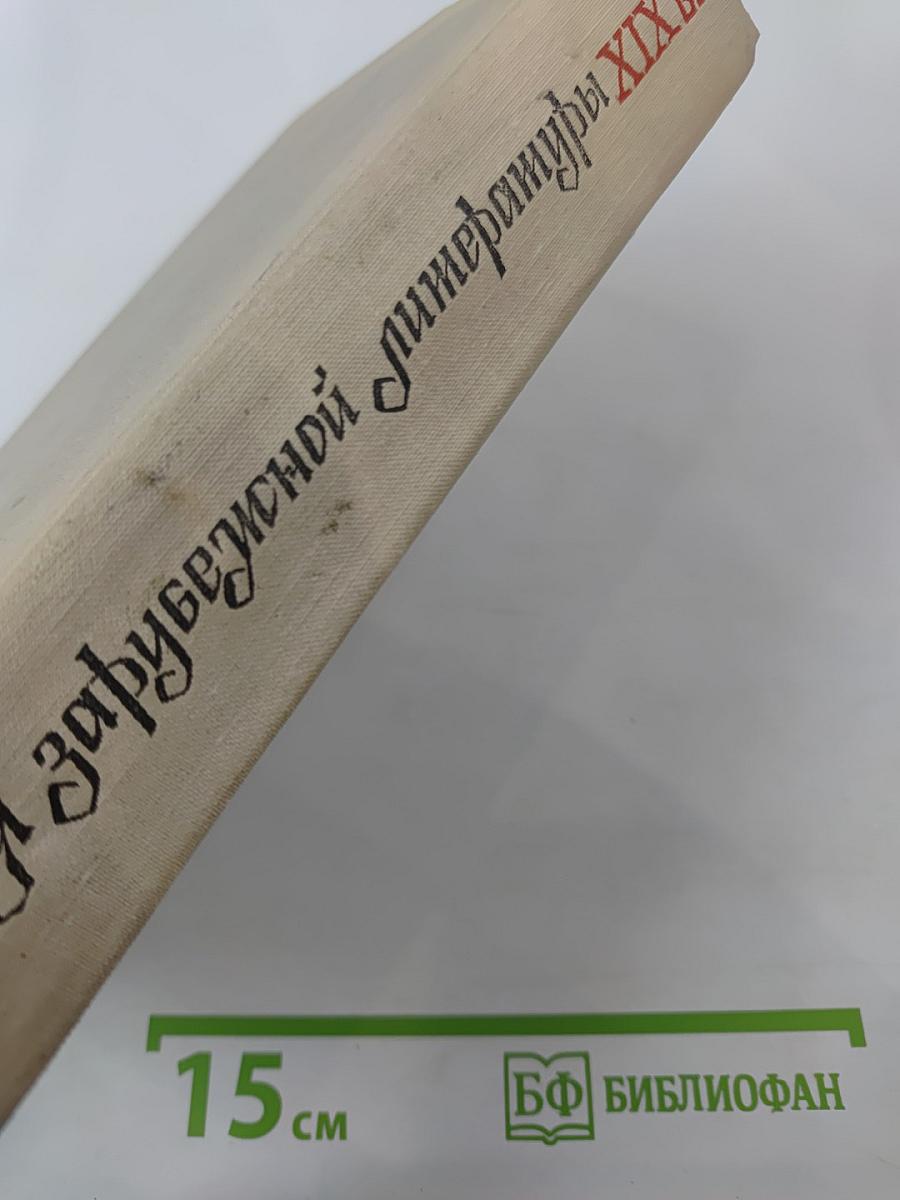 История зарубежной литературы XIX в.