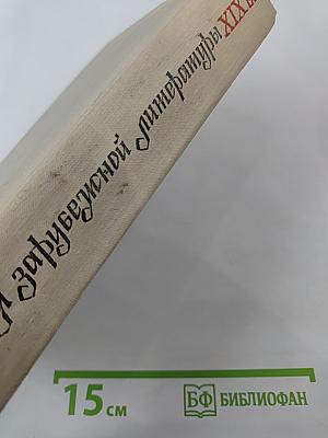 История зарубежной литературы XIX в.